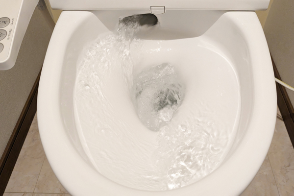 トイレのレバーを引いている画像